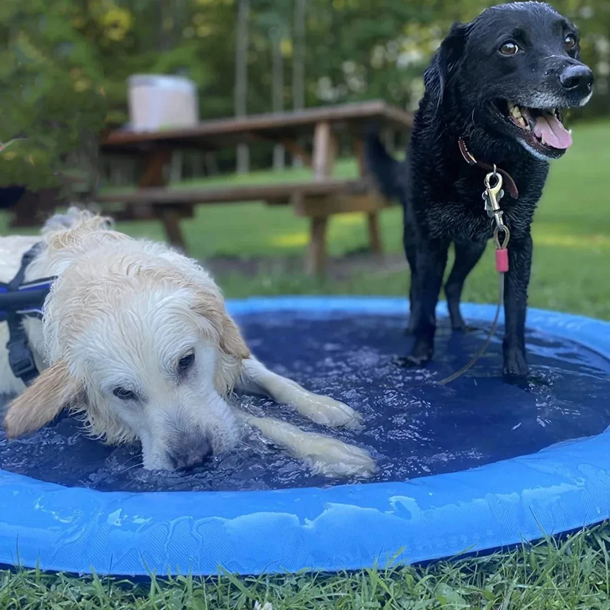 Doggie Cooling Pool