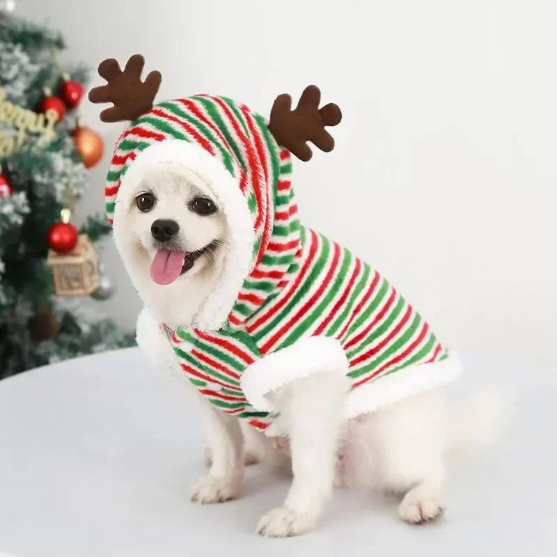 Holiday Dog Apparel