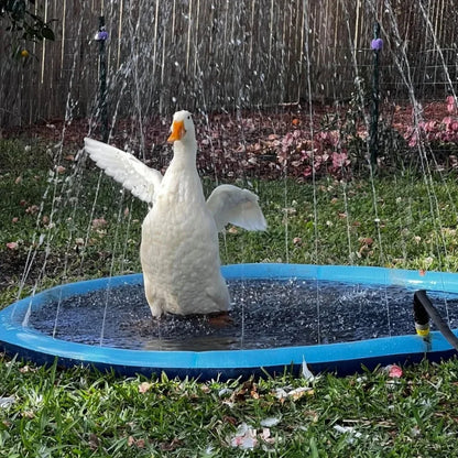 Doggie Cooling Pool